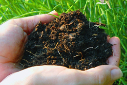 Fall Mulching