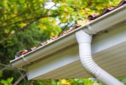 Gutter Cleaning