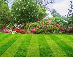 Lawn Care Bethesda VA