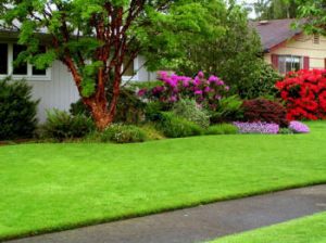 Lawn Care Herndon VA