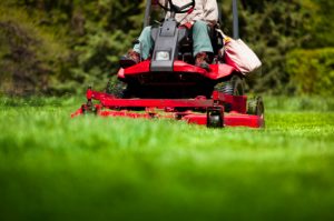 Lawn Care Potomac MD