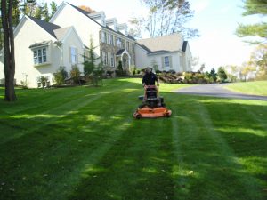 Lawn Care Reston VA