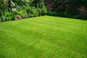 Lawn Treatments Potomac MD